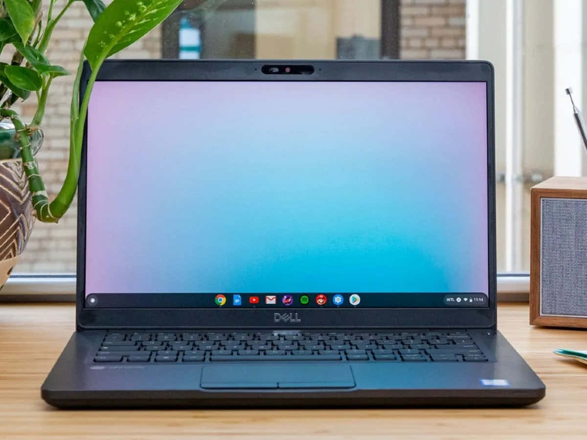 Представляем Chromebook: доступный и продуманный ноутбук Обои