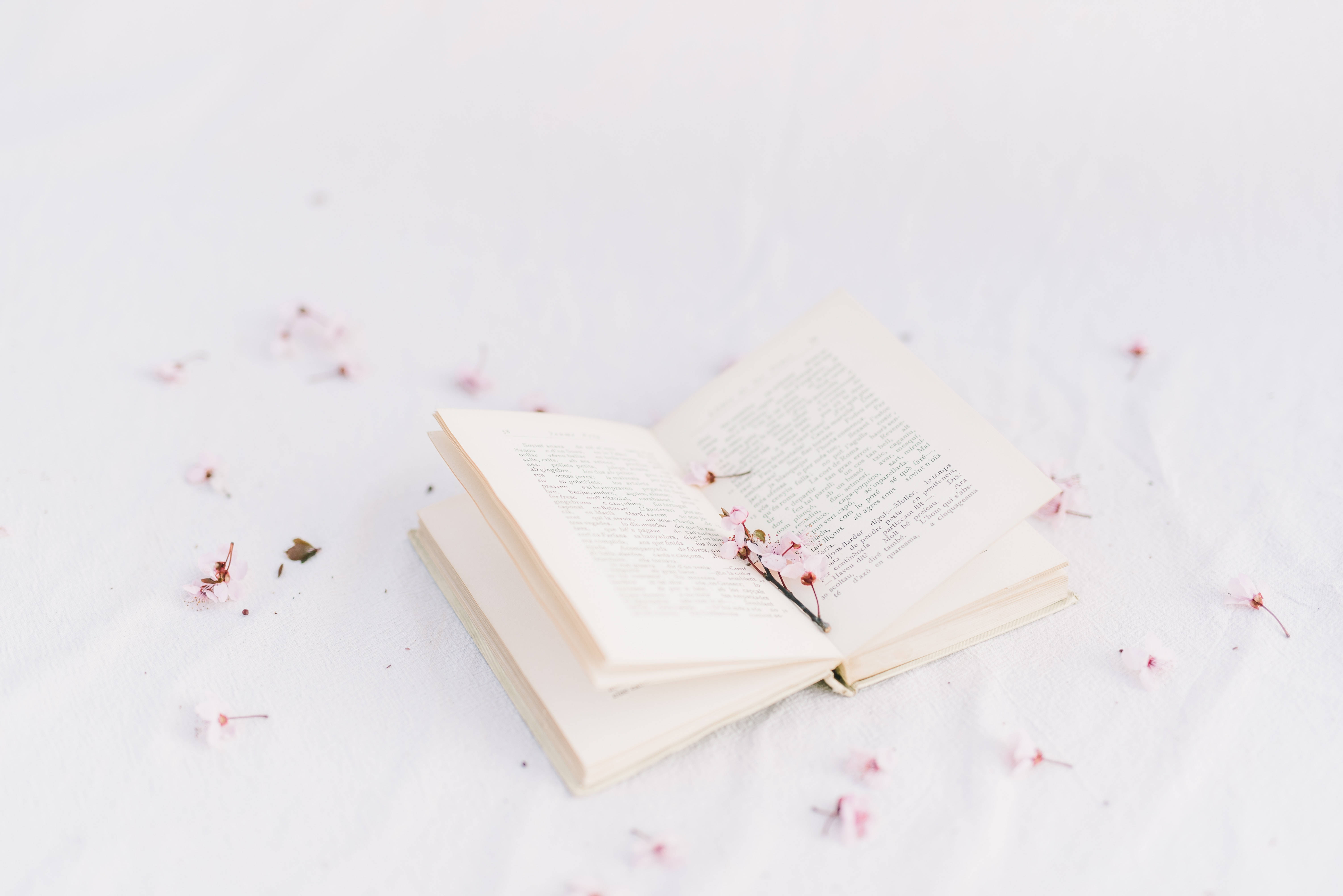 Преппи эстетика: книга с цветами Обои