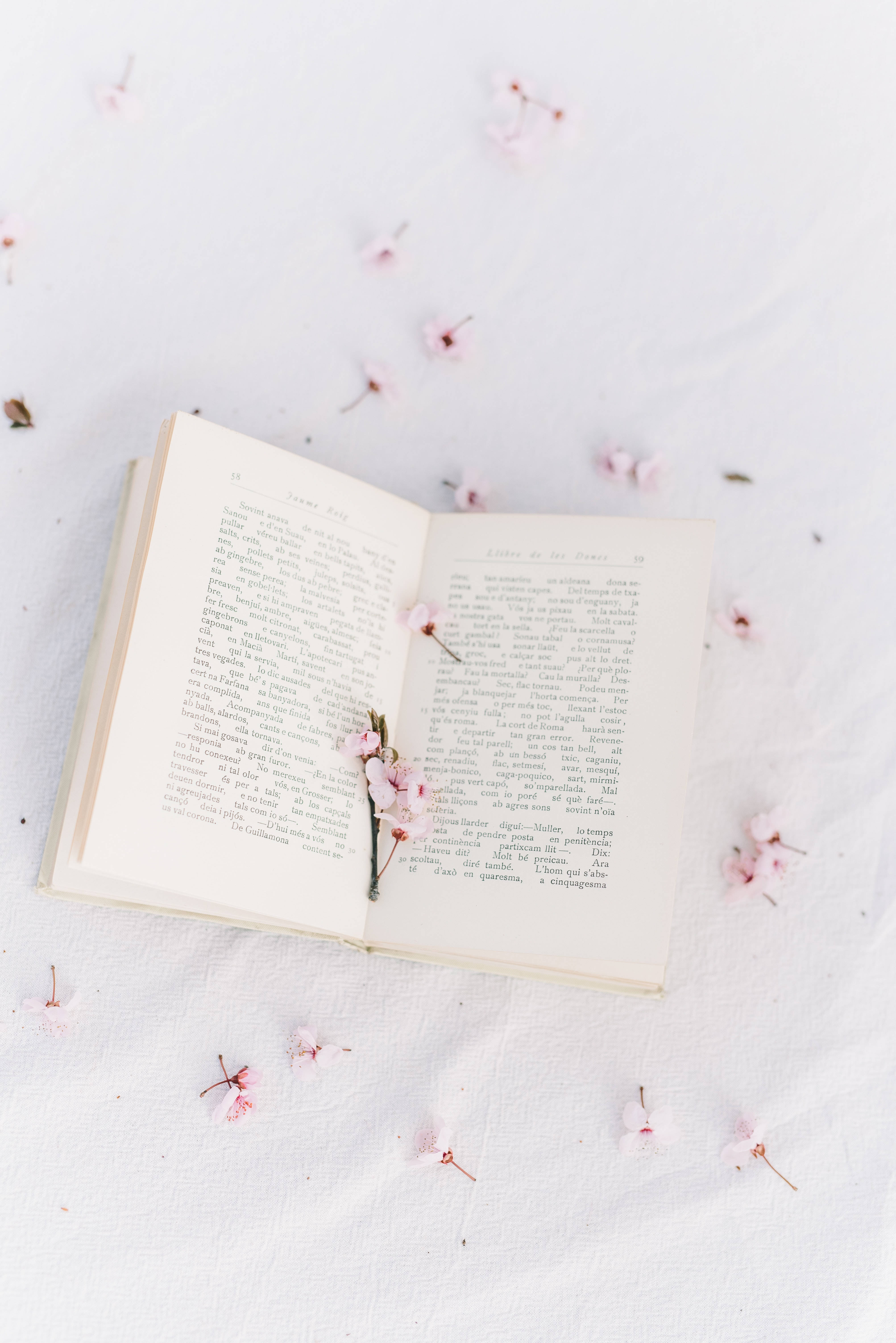 Преппи эстетика книга с сакурой Обои