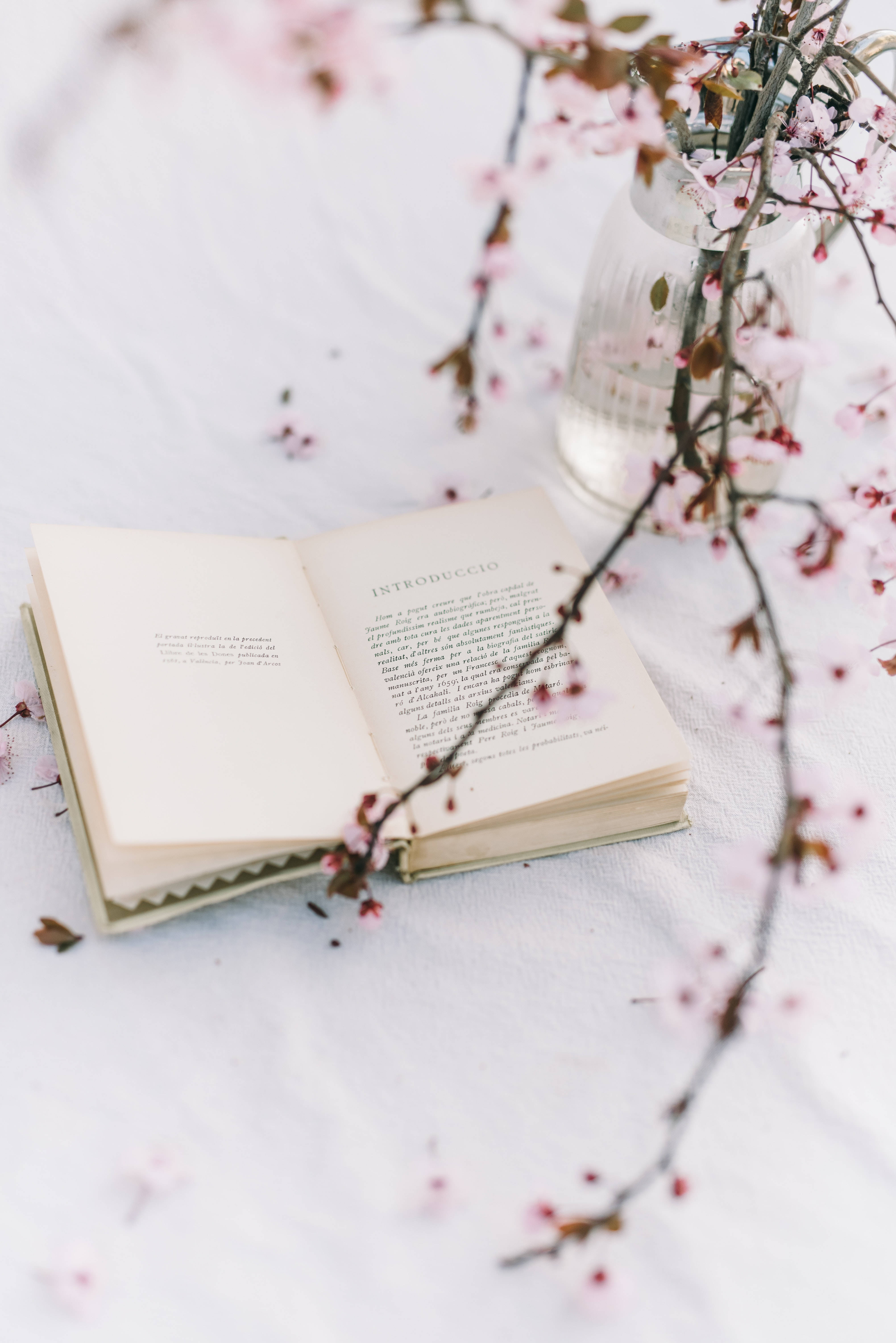 Преппи эстетика: книга с цветущей сакурой Обои