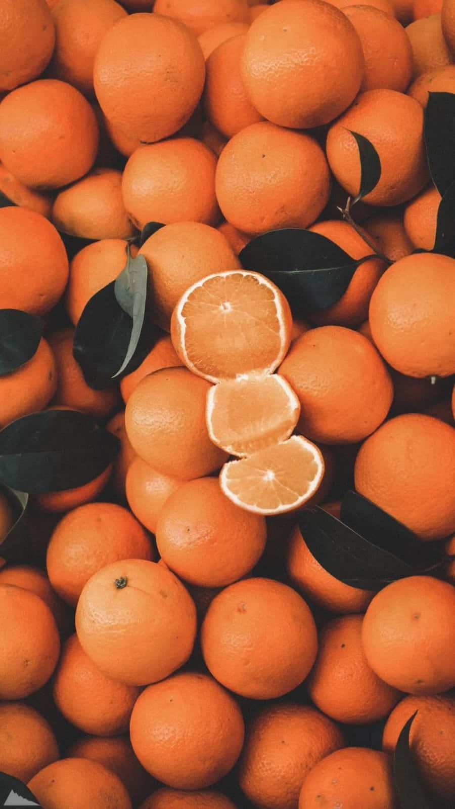 Природная красота бывает разных цветов, включая оранжевый 🍊 Обои