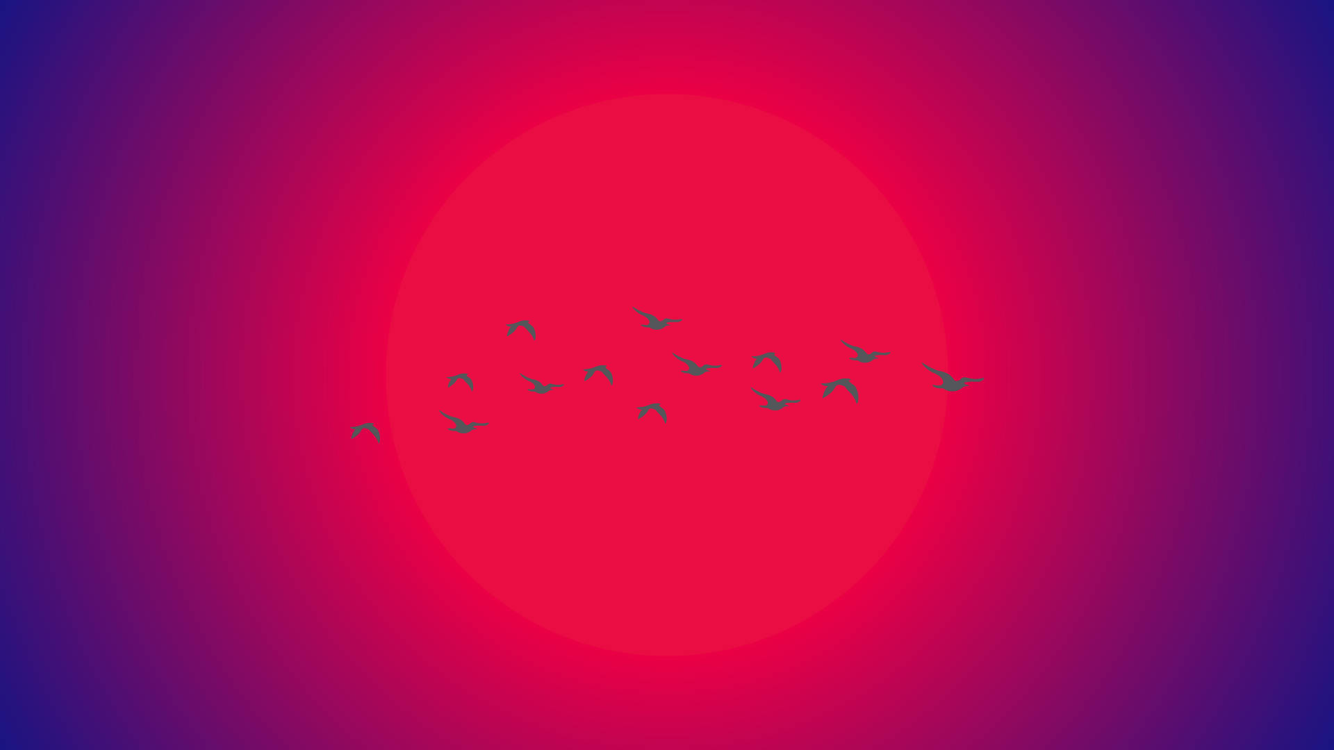 Птицы, летящие на фоне солнца, минималистичная эстетика для ноутбука Обои