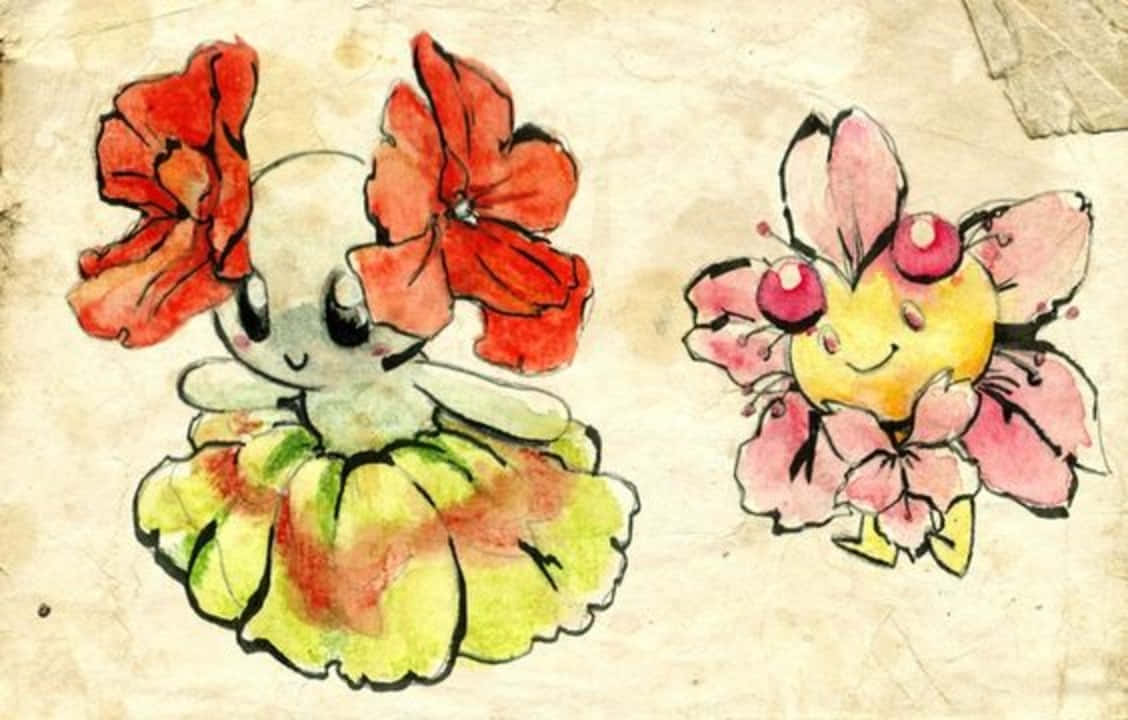 Рисунок Черима Обои