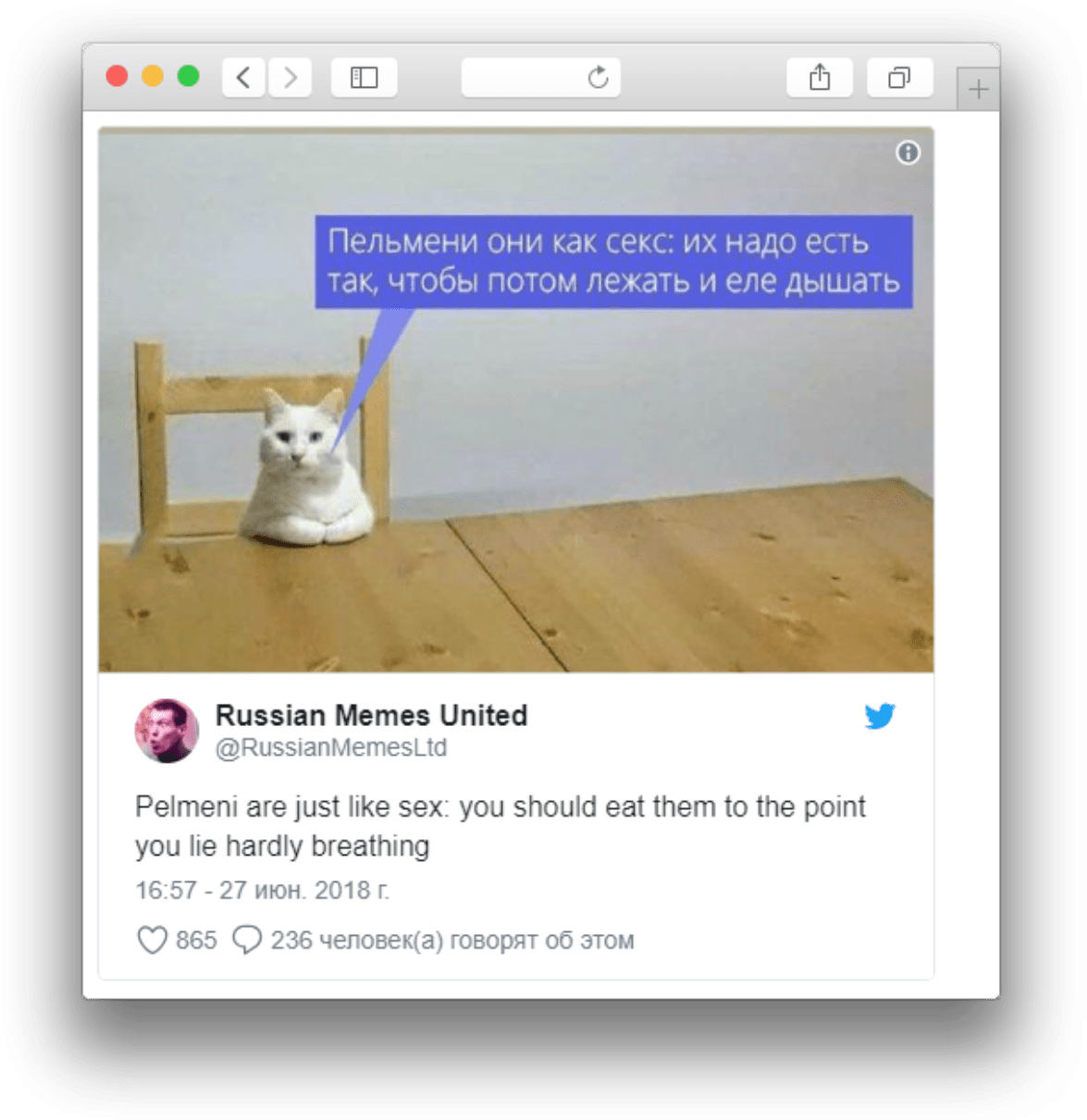 Русский кот мем сравнение с пельменями Обои