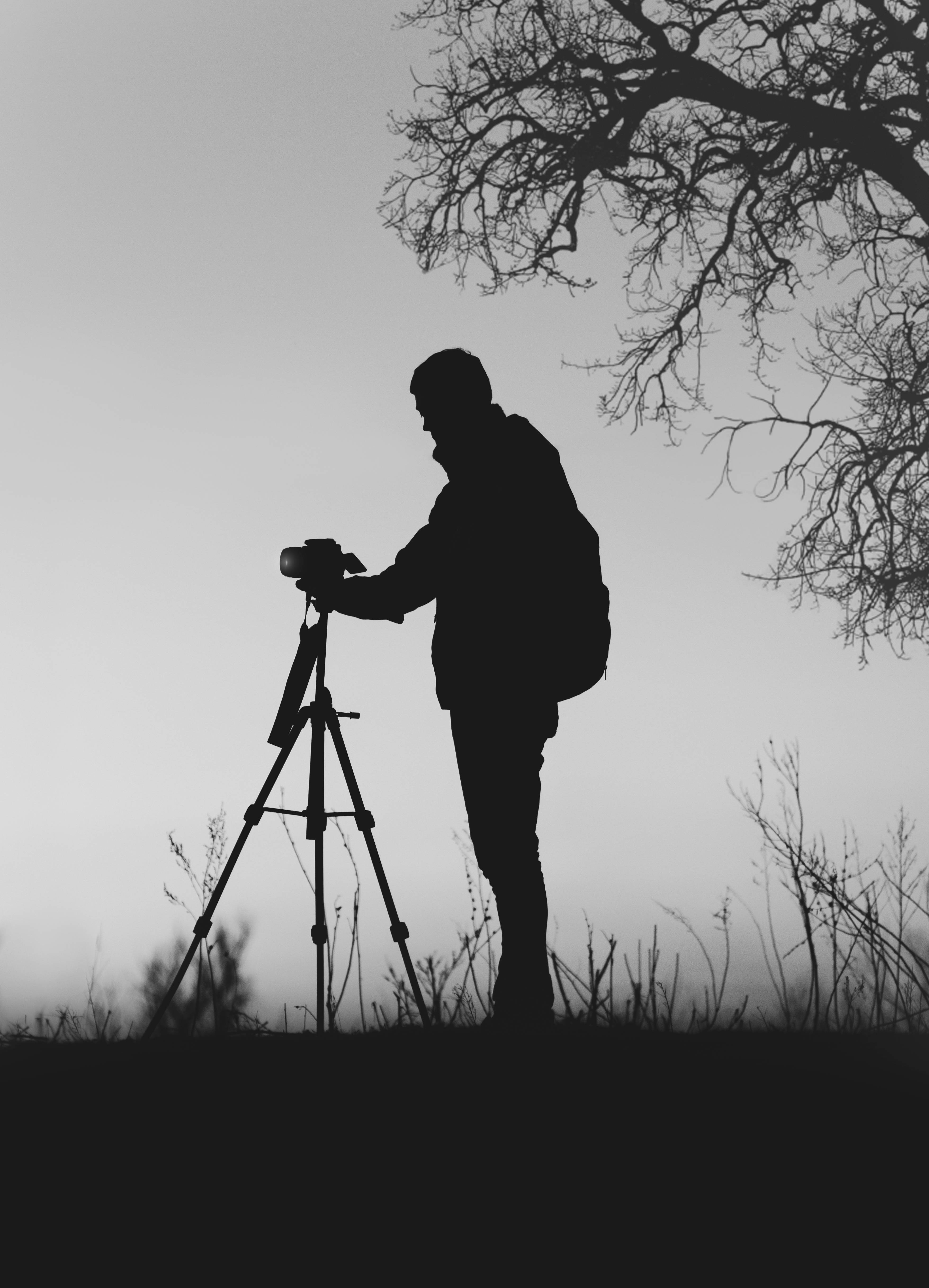 Силуэтная фотография в градациях серого Обои