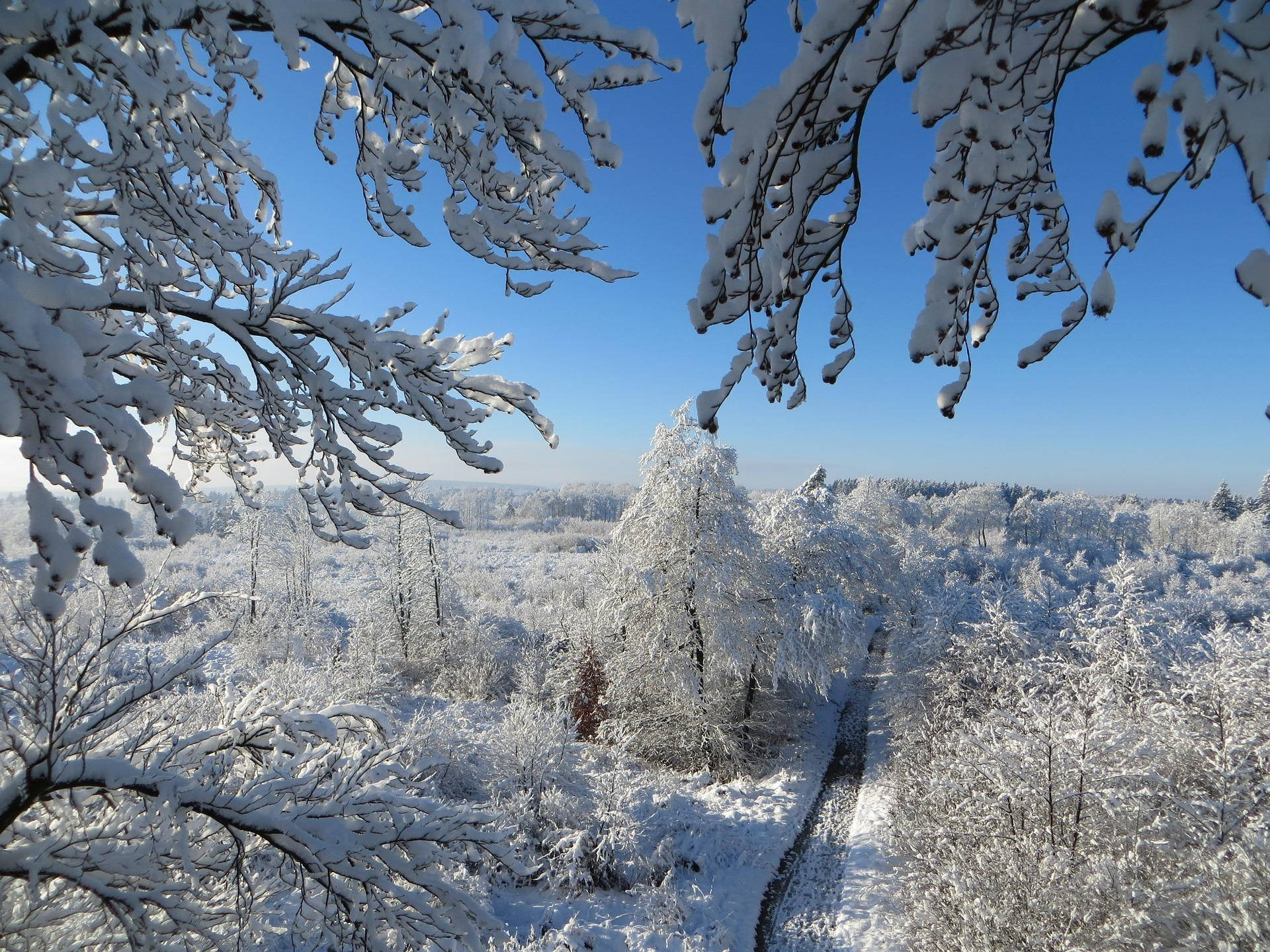 Снежный эстетичный вид Обои