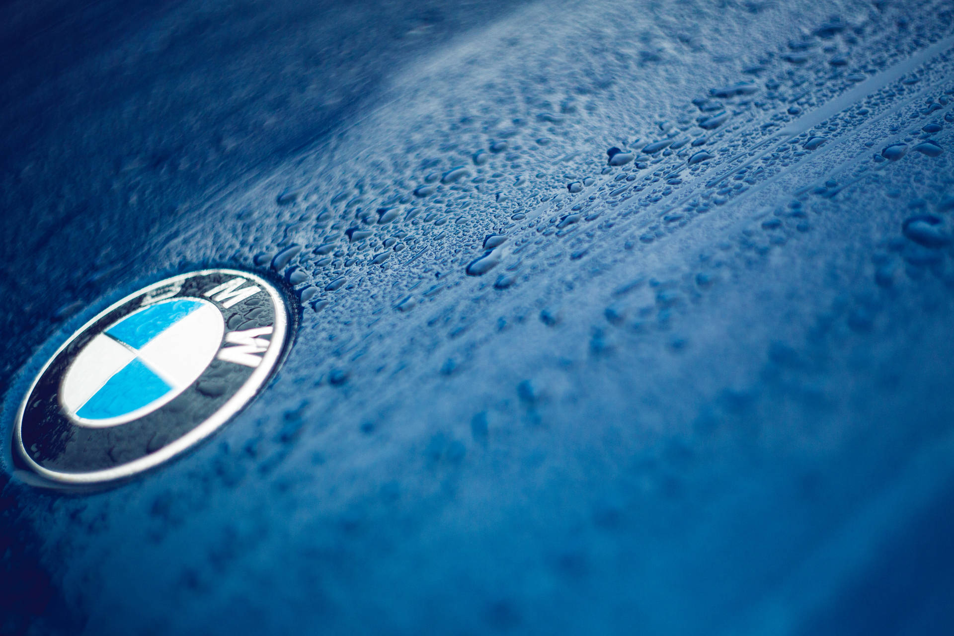 Крупный план обоев с логотипом BMW на синем автомобиле с каплями
