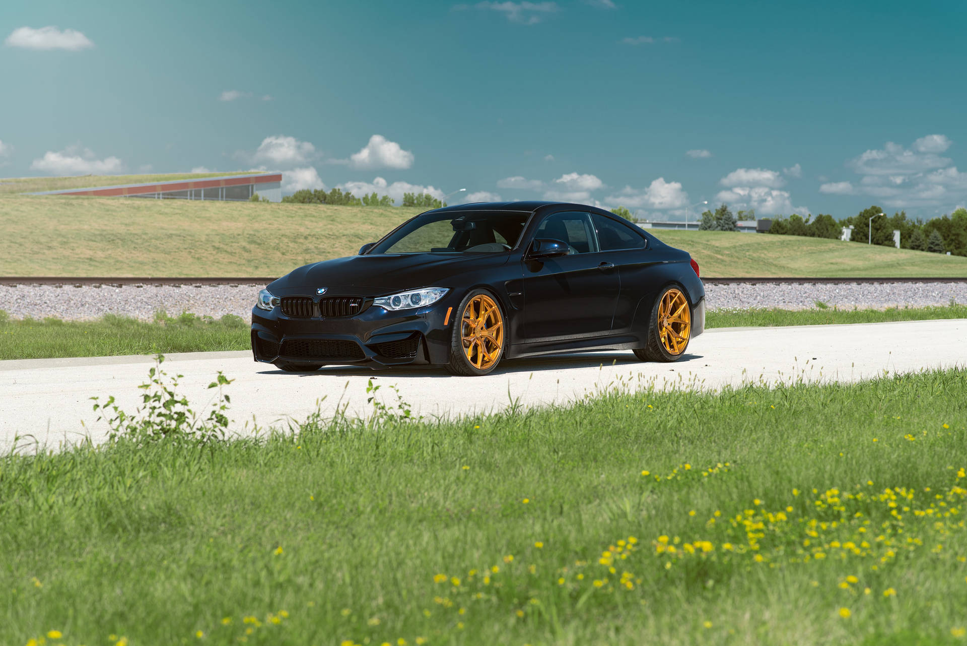 Обои с черным BMW M4 F82 на дороге с травой