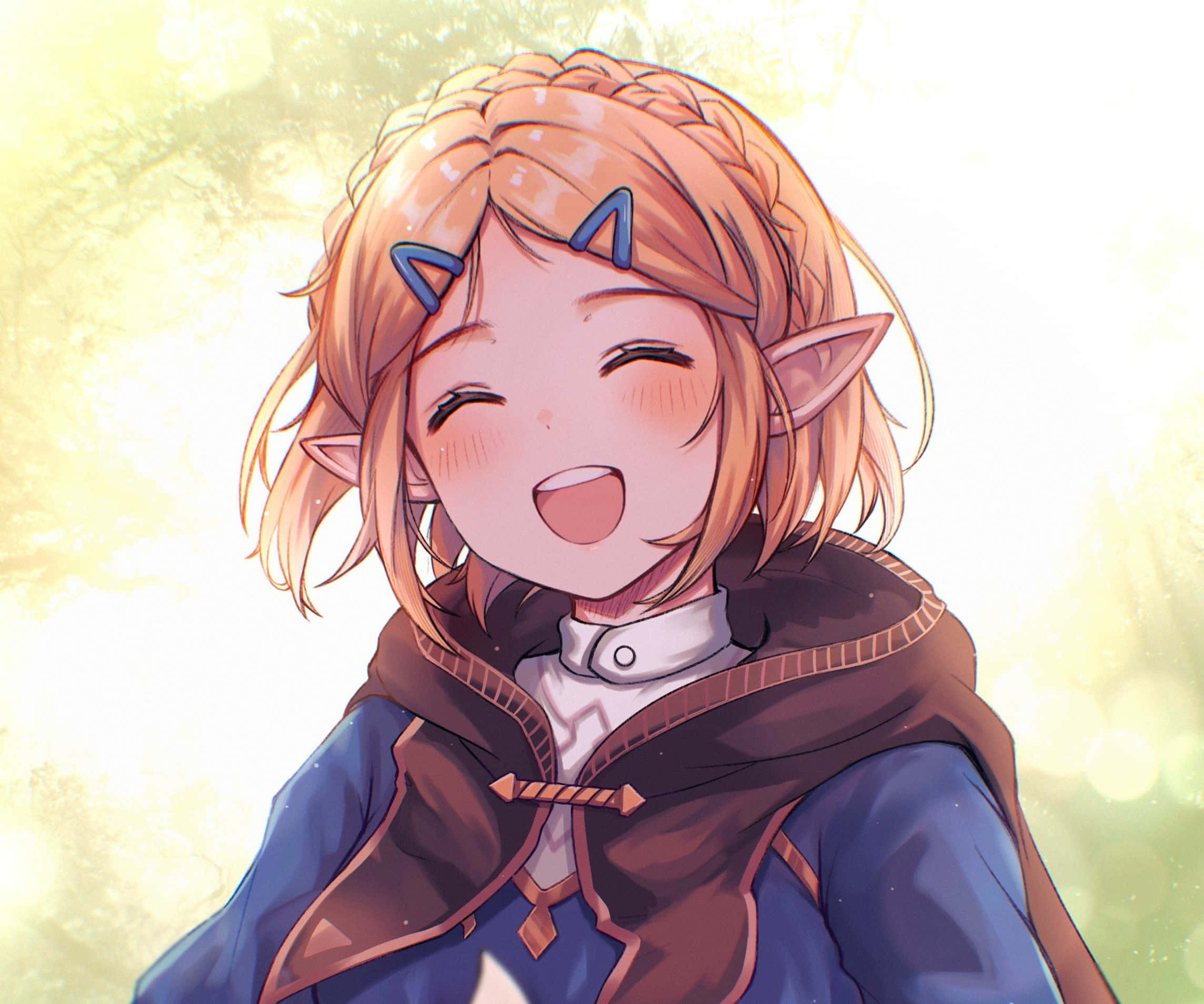 Фон Zelda Обои
