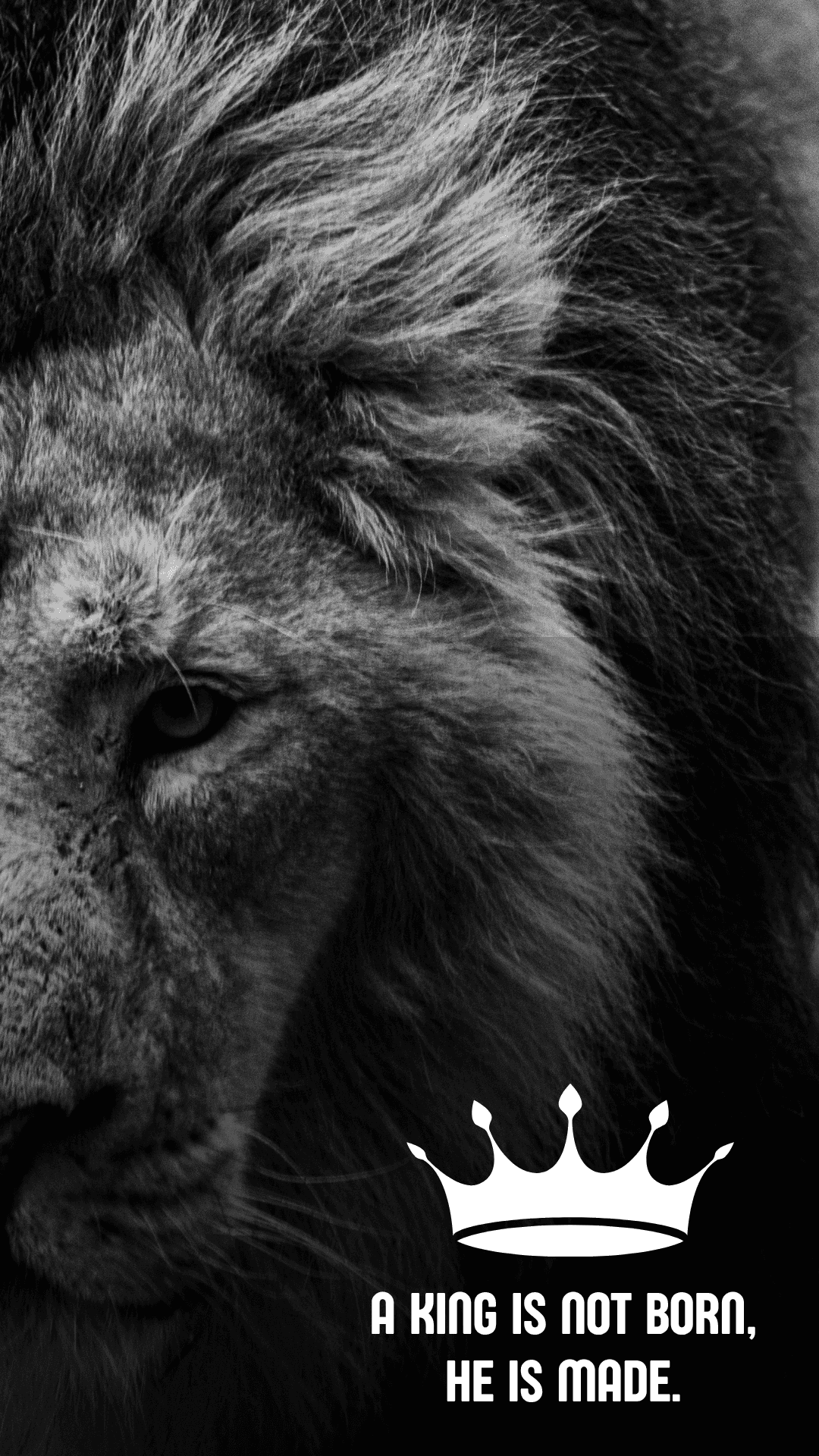 Фон с львом Обои
