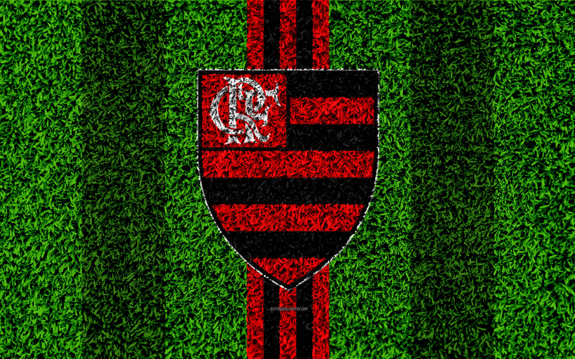Футбольное поле Фламенго