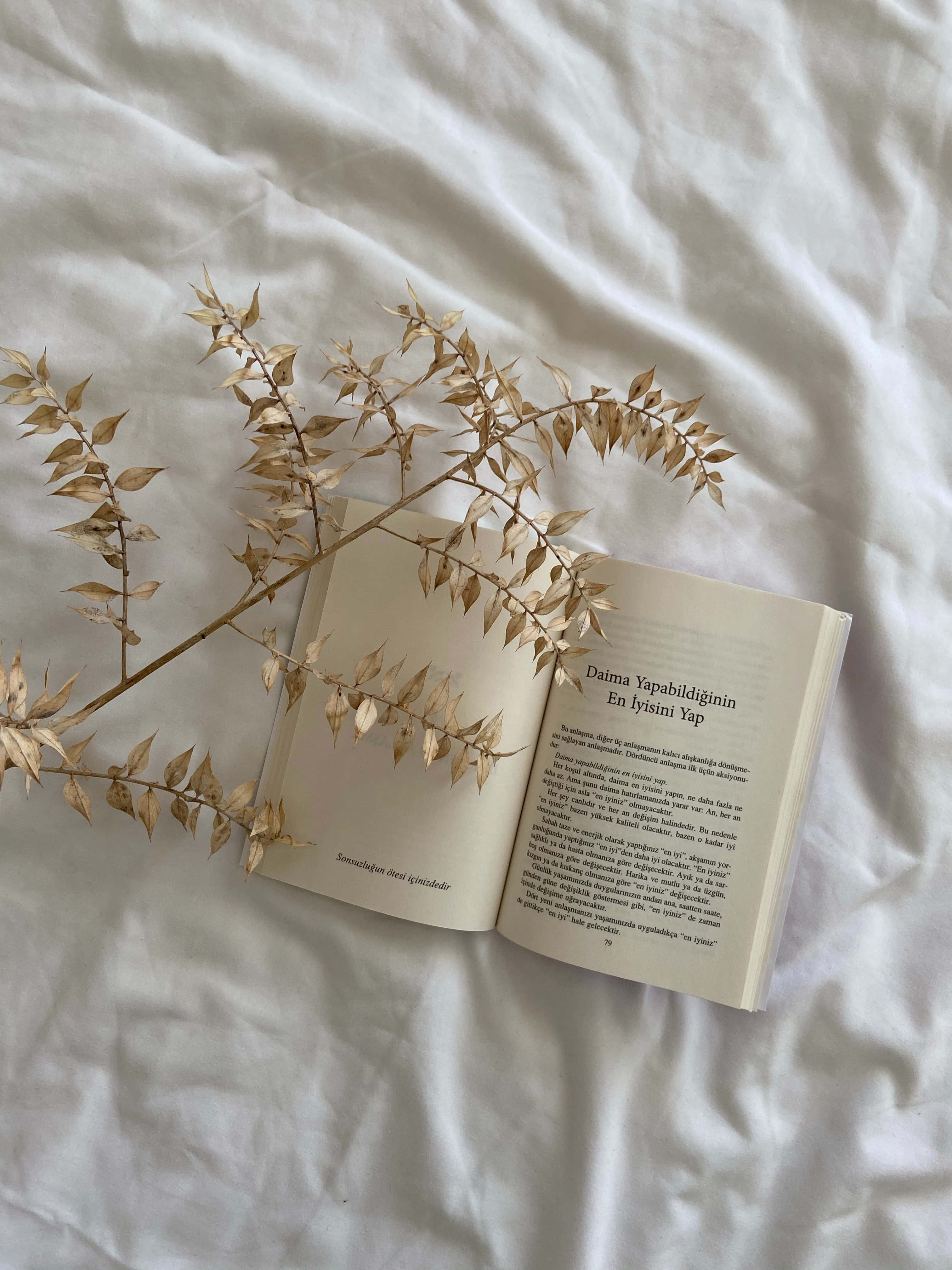 Чашка кофе и открытая книга — идеальный день для новых знаний. Обои