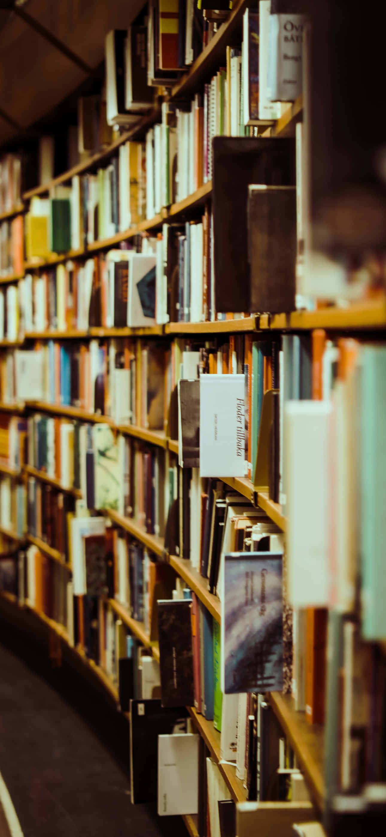 Читай книги, раскрывай тайны Обои