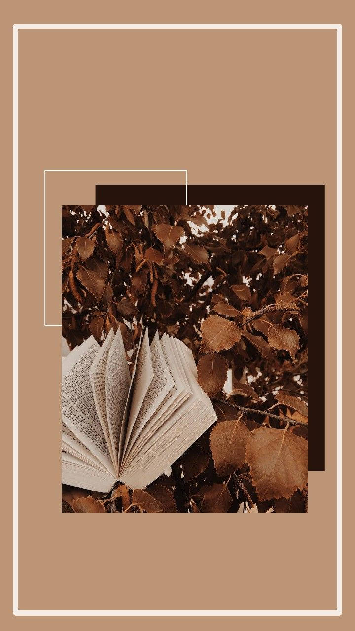 Эстетичные коричневые листья и книга Обои