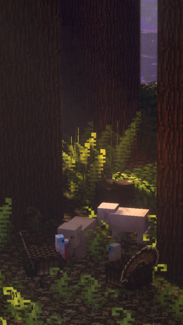 Эстетичный Скрытый Темный Лес Minecraft Обои