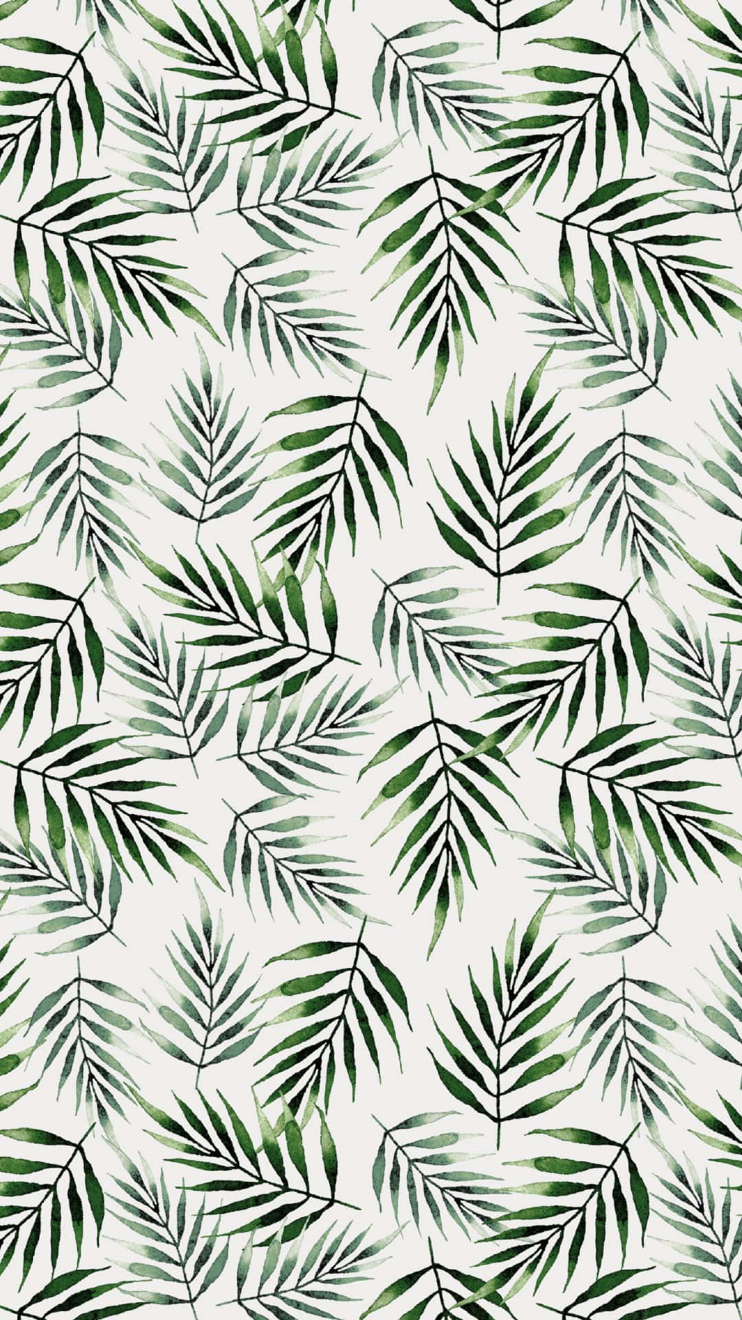 Эстетичный фон с зелеными листьями в стиле VSCO Обои