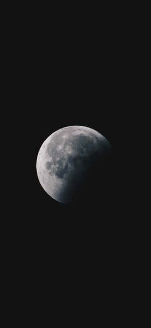 1080x2340 4k — Pixel 10 Pro Обои