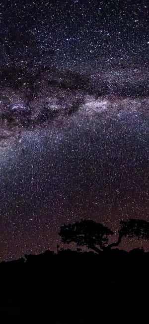 1080x2340 4k — Xiaomi 18 Pro Max Обои