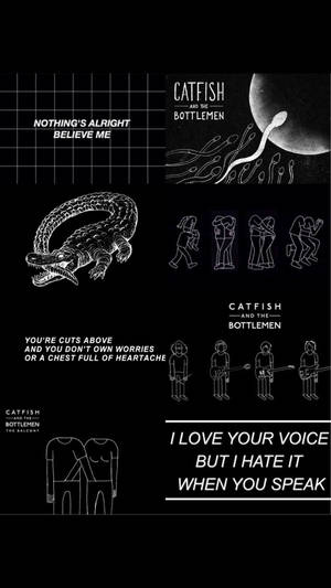 Catfish And The Bottlemen Альт Эстетика — Альтернативная эстетика Обои