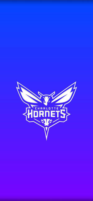 Charlotte Hornets градиент синий обои — iPhone 17 Обои