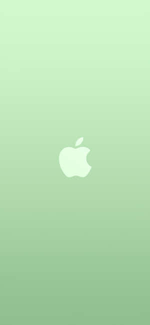iPhone 11 Green — Pixel 7 Pro Обои
