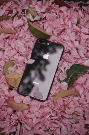 iPhone 8 и цветы