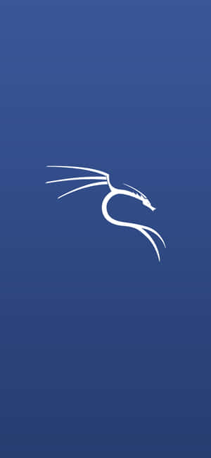 Фон Kali Linux — Vivo T5 Lite Обои