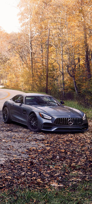 Mercedes AMG iPhone осенние деревья — iPhone 14 Plus Обои