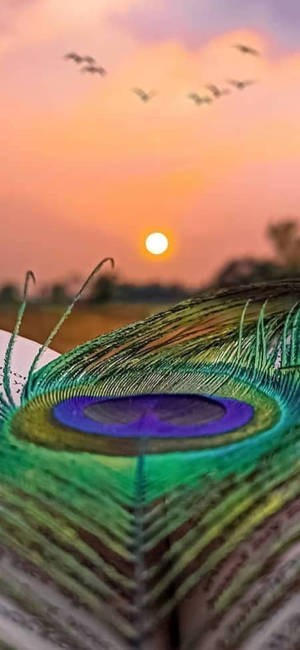 Mor Pankh Sunset — Galaxy S26 Обои