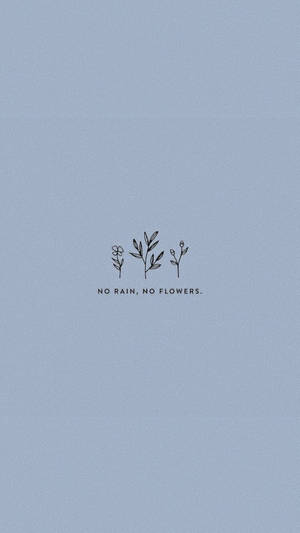 No rain no flowers милая эстетика обои — Любовь эстетика гиф Обои