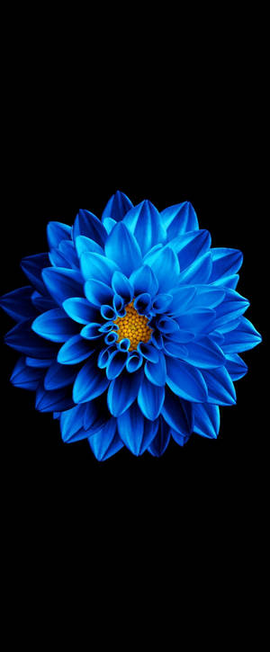 Super Amoled синяя цинния обои — Motorola Razr Обои