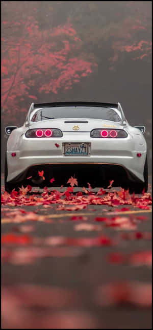 Jdm pictures — Tecno Pop Обои