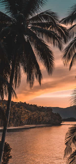 1170x2532 — Oppo Reno15 F Обои