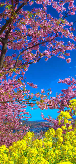 Pixel 3 Spring Background — POCO M Обои