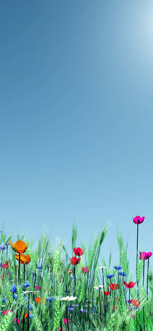 Pixel 3 Spring Background — Galaxy S25 Обои