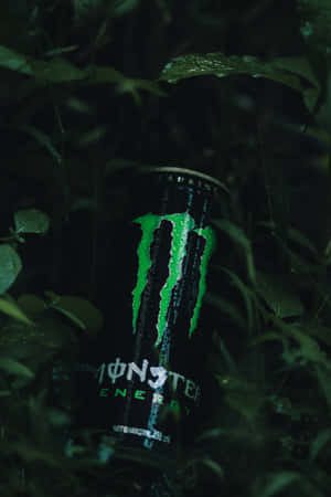 Выпусти зверя на волю с Monster Energy — Oppo Pad Обои