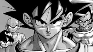 Картинки Dragon Ball — Драконий жемчуг Обои