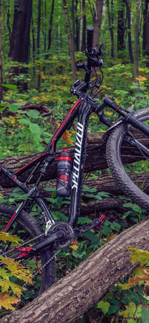 Mountain Bike Iphone — Vivo V60e Обои