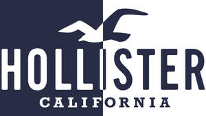 Обои с двухцветным логотипом Hollister — Chromebook Обои