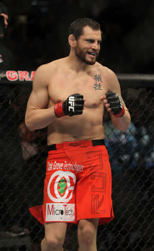 Джон Фитч стоит в октагоне UFC 141 — Xiaomi Pad Mini Обои