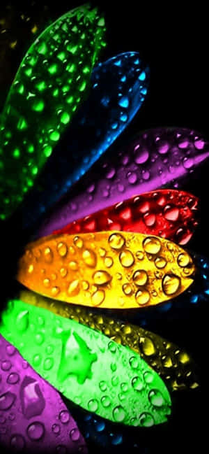 828x1792 — iPhone 13 Mini Обои