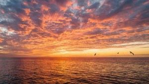 Великолепный закат над океаном с яркими красками и отражениями. — Вид на небо Обои