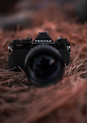Фото черной камеры Pentax на обоях с птичьим гнездом. — OnePlus Pad Обои