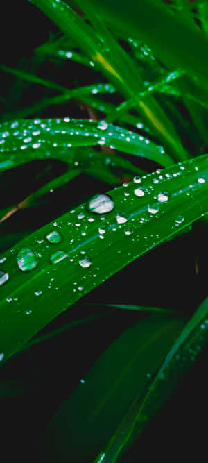 1080x2400 — Samsung Galaxy S22 Обои