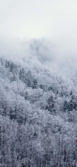 Snow Iphone — iPhone 18 Pro Max Обои