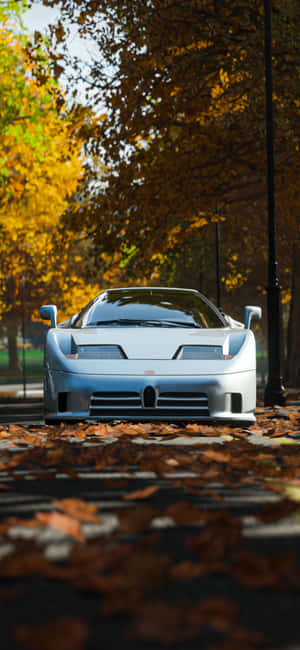 iPhone Xs Forza Horizon 4 фон — Pixel 8a Обои