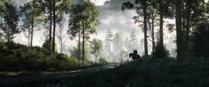 Сверхширокие лесные пейзажи из видеоигры The Witcher 3.