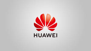 Китайский бренд Huawei Art обои — Huawei Обои
