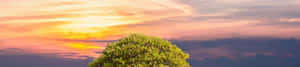 4k фон природы — 4K природа гиф Обои