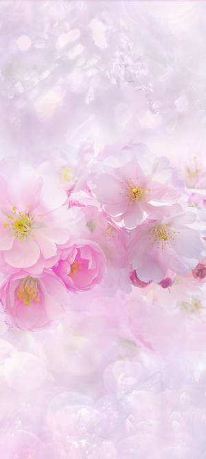 Beautiful Spring — Pixel 9a Обои